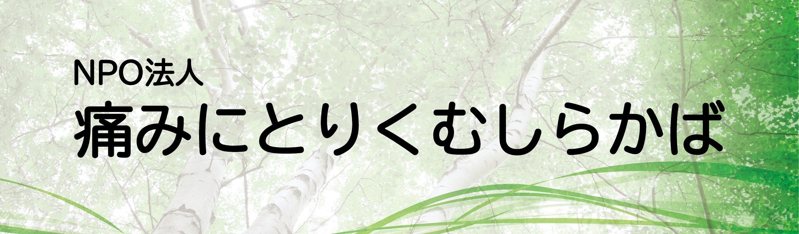 NPO法人痛みにとりくむしらかば