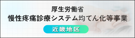 厚生労働省慢性疼痛診療システム均てん化等事業
